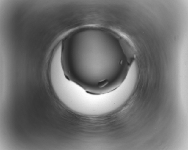 X0000088721319200706212013