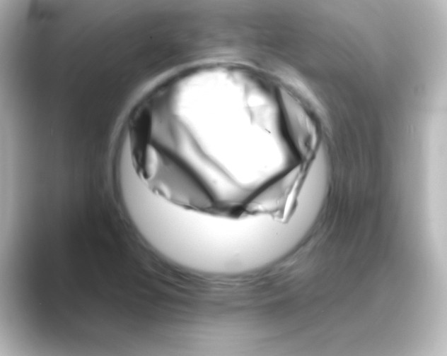 X0000088721320200706212013