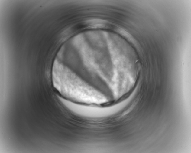 X0000088721321200706212013