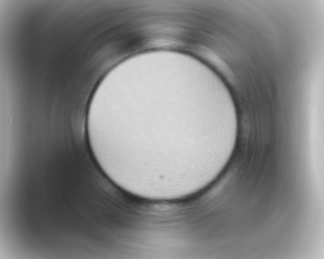 X0000088721322200706212013