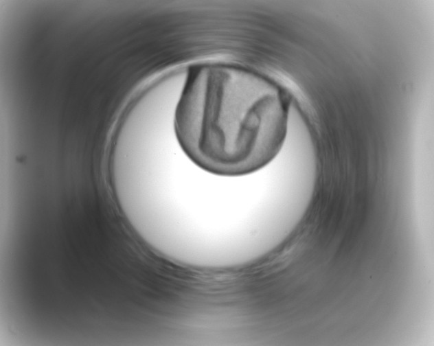 X0000088721324200706212014