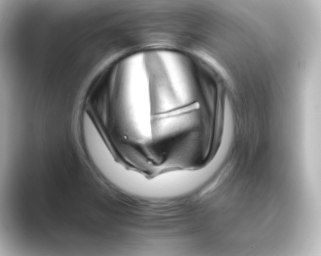 X0000088721325200706212014