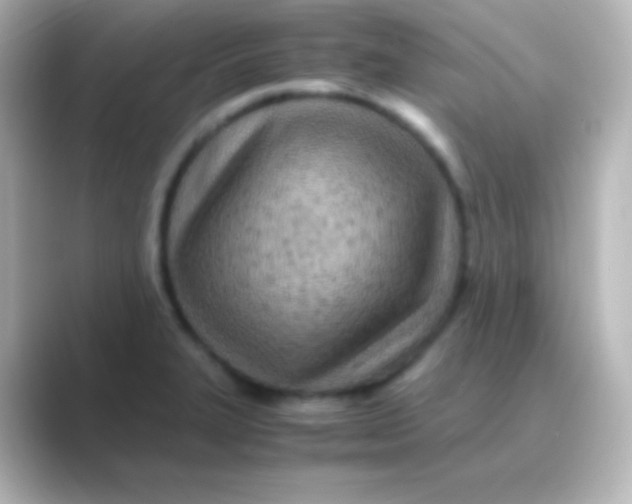 X0000088721327200706212014