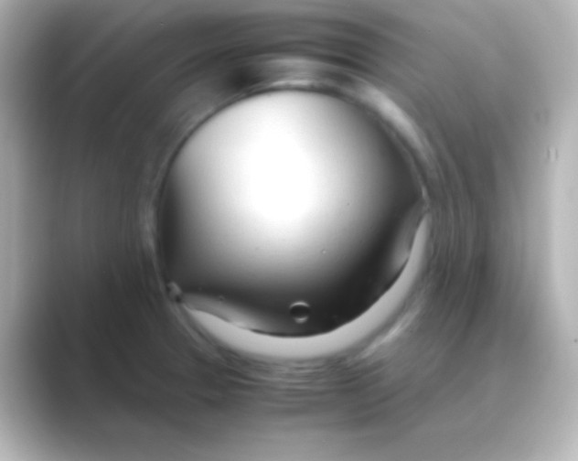 X0000088721329200706212014