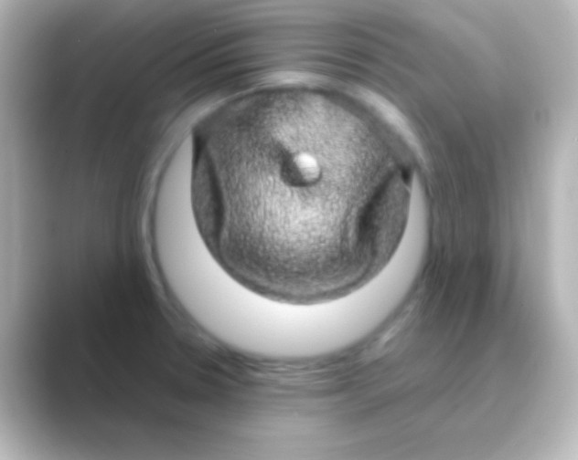 X0000088721330200706212014