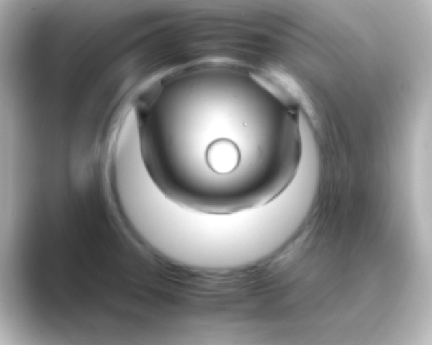 X0000088721331200706212014