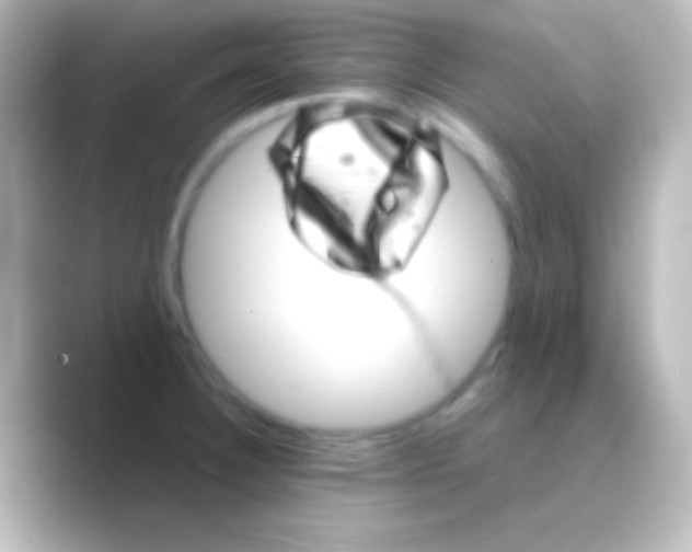 X0000088721332200706212014