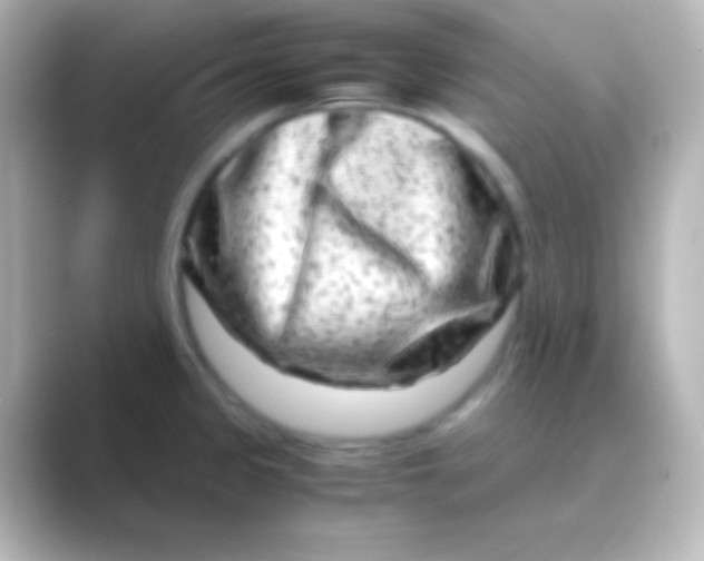 X0000088721333200706212014