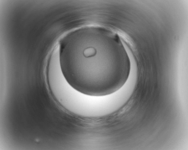 X0000088721334200706212014