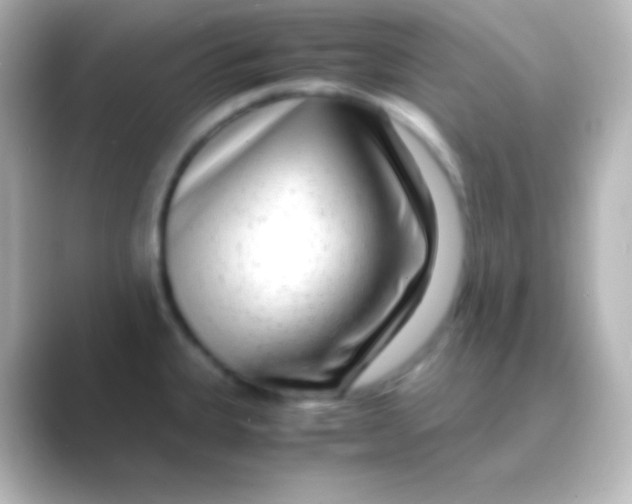 X0000088721335200706212014