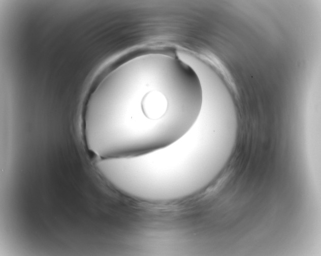 X0000088721336200706212014