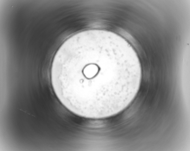 X0000088721338200706212014