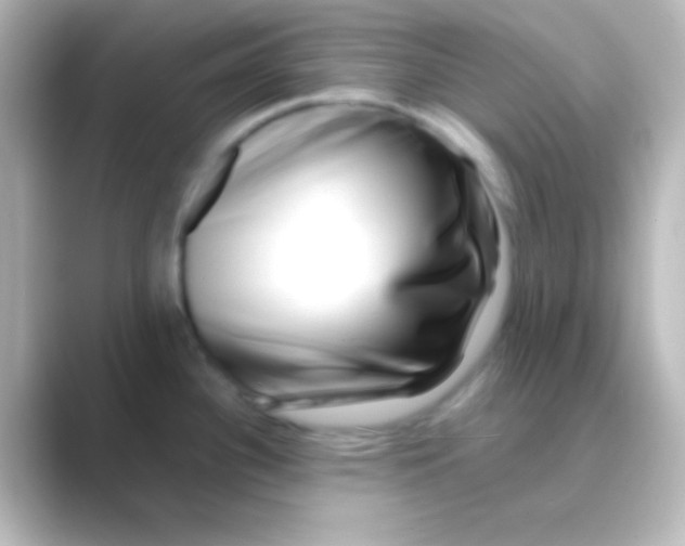 X0000088721340200706212014