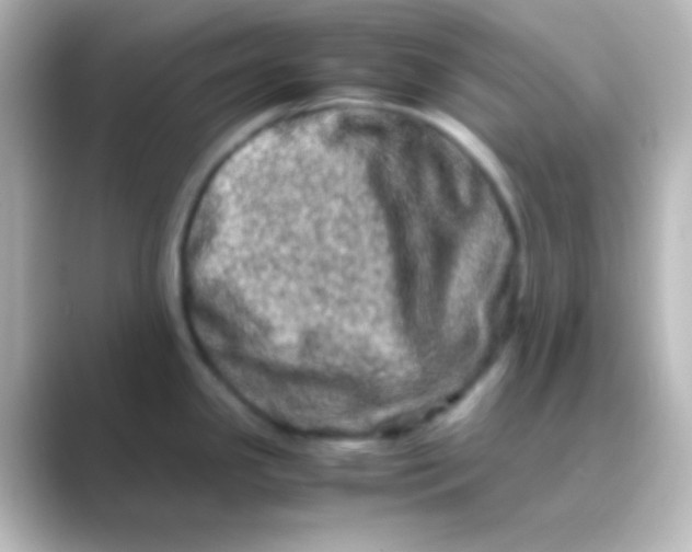 X0000088721341200706212014