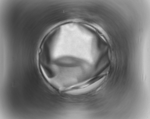 X0000088721343200706212014