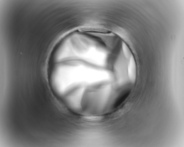 X0000088721344200706212014