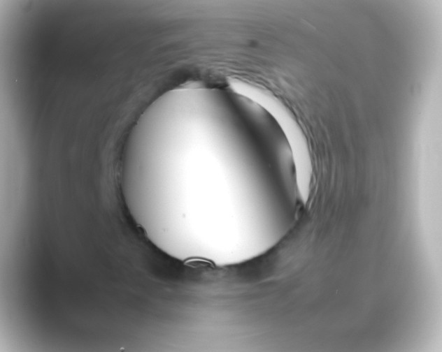 X0000088721345200706212013