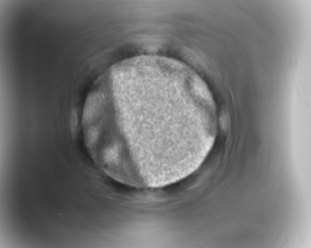 X0000088721347200706212013