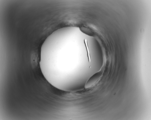 X0000088721348200706212013