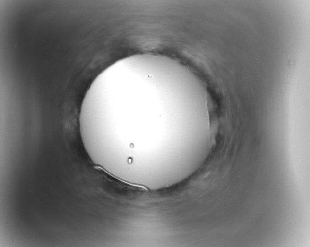 X0000088721349200706212013