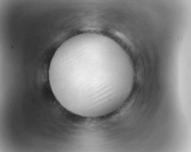 X0000088721350200706212013