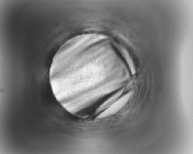 X0000088721351200706212013