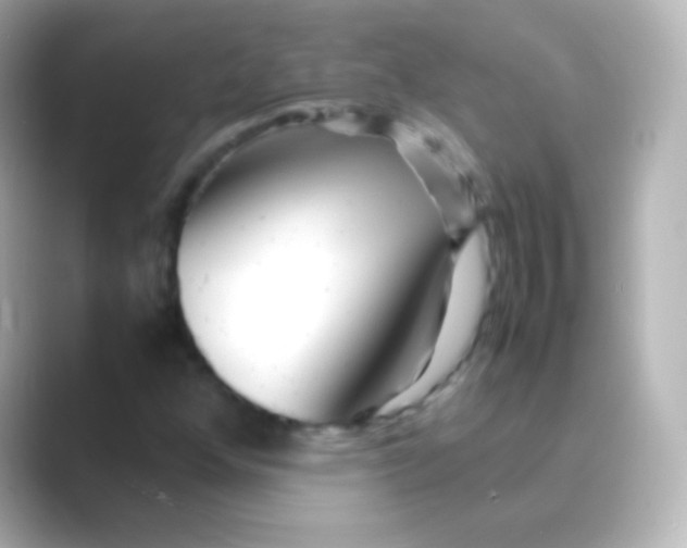 X0000088721352200706212013