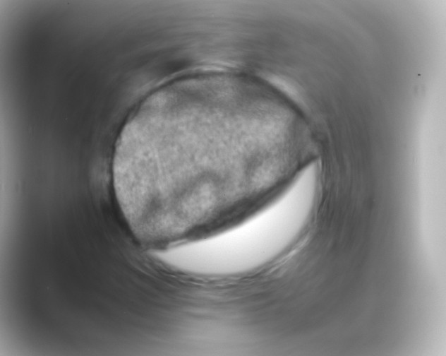 X0000088721355200706212013