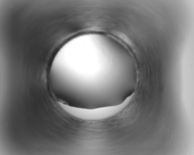 X0000088721356200706212013