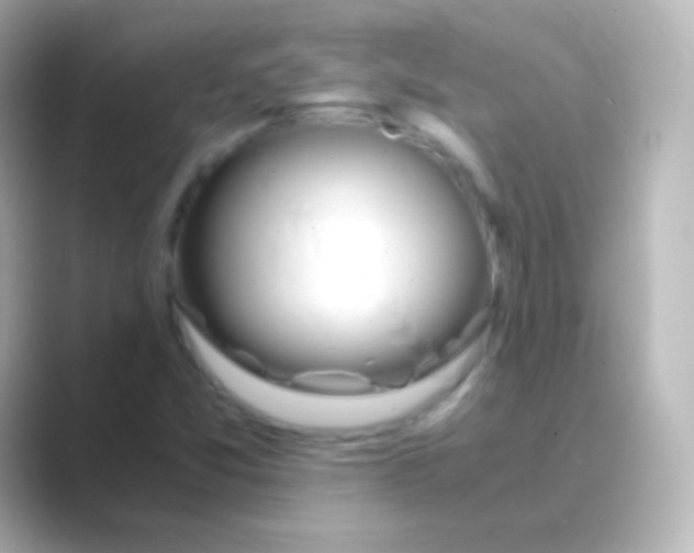 X0000088721357200706212013