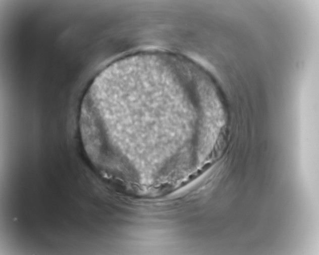 X0000088721359200706212013