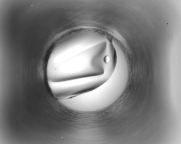 X0000088721360200706212013