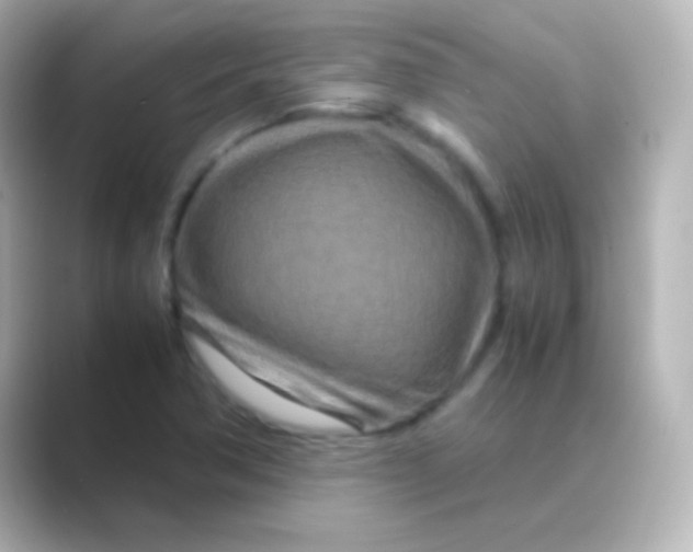 X0000088721362200706212013