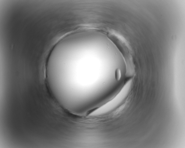 X0000088721365200706212013