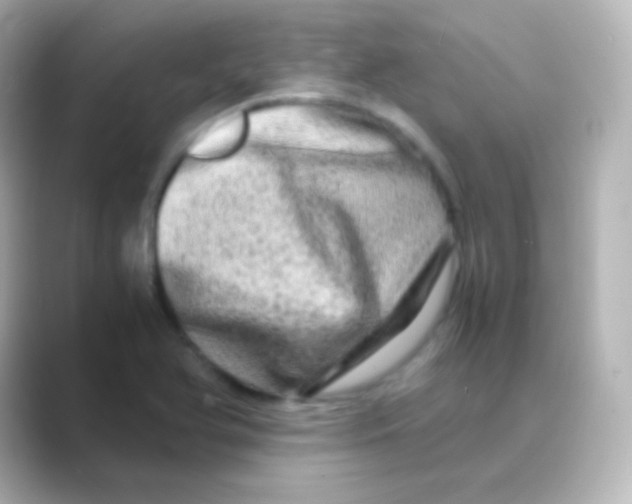 X0000088721366200706212013