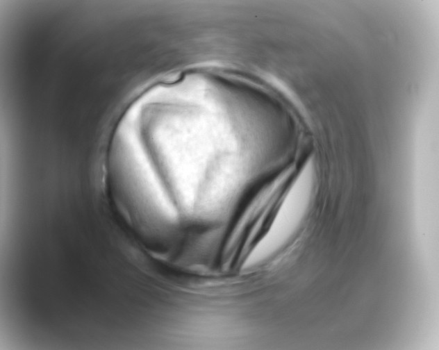 X0000088721367200706212013