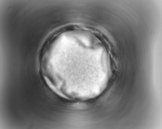 X0000088721368200706212013