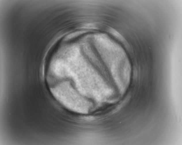 X0000088721370200706212013