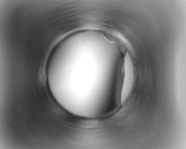 X0000088721372200706212013