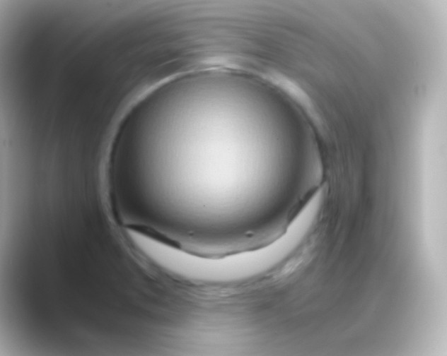 X0000088721373200706212013