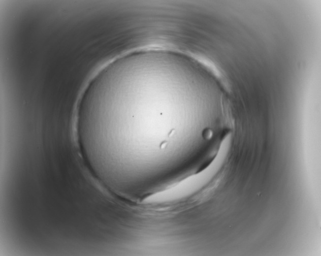 X0000088721374200706212013