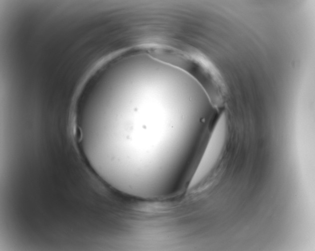 X0000088721376200706212013