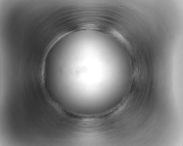 X0000088721378200706212013