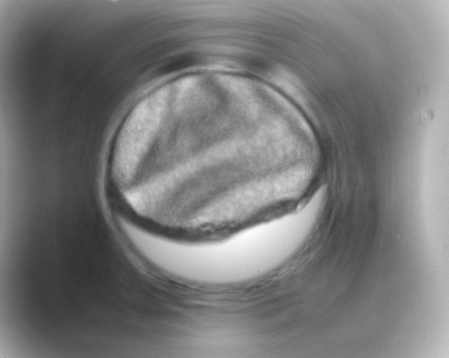 X0000088721379200706212013