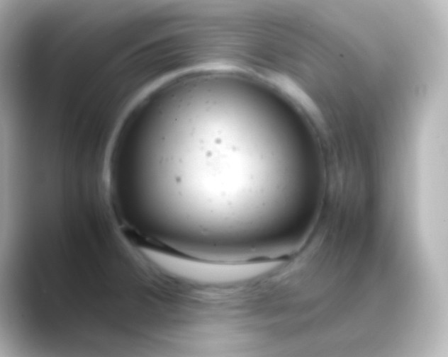 X0000088721380200706212013