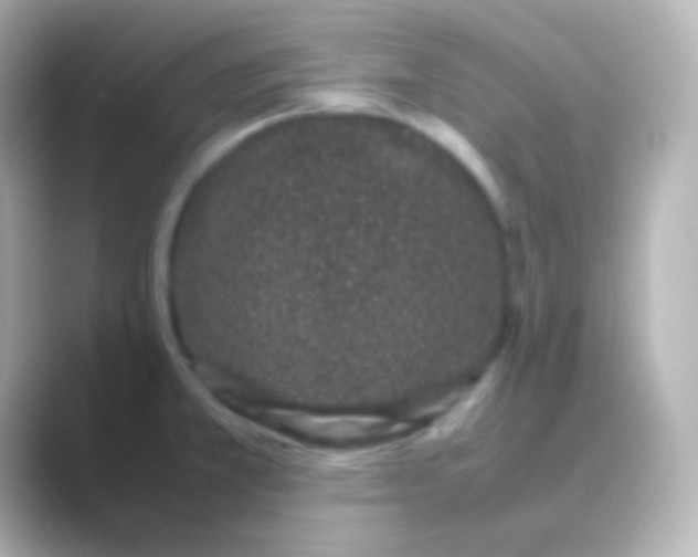 X0000088721381200706212013