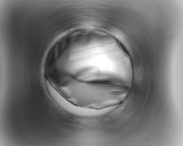 X0000088721384200706212013