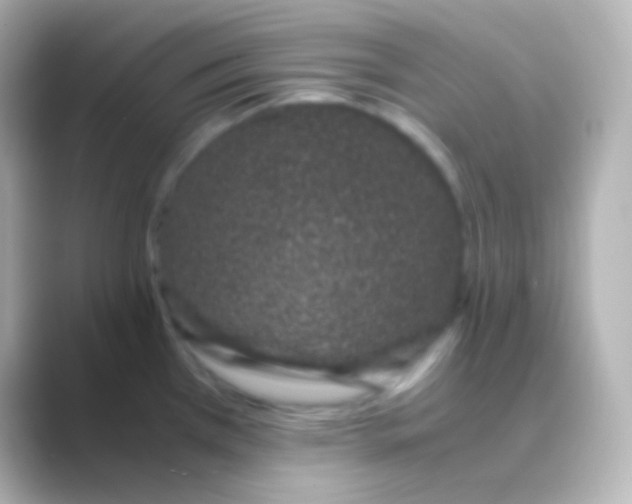 X0000088721385200706212013