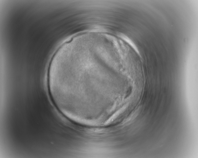 X0000088721387200706212013