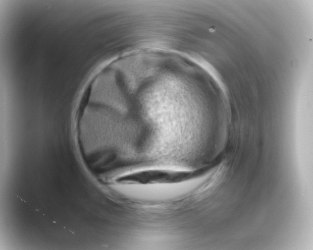 X0000088721389200706212013